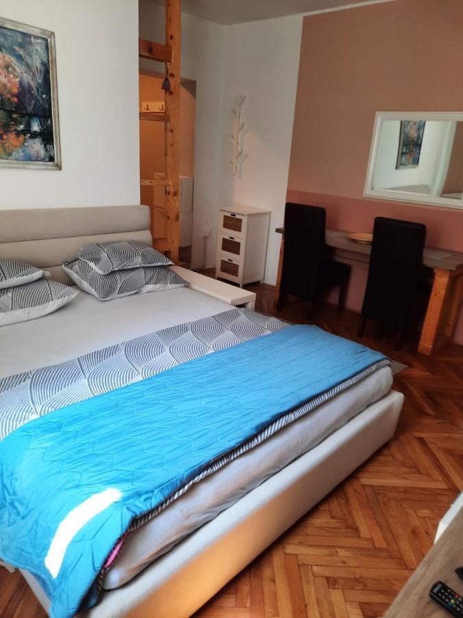 Apartmani Biljana Lazic Vrnjačka Banja Extérieur photo