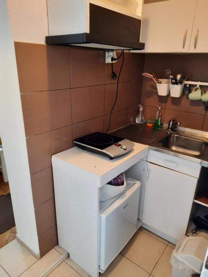 Apartmani Biljana Lazic Vrnjačka Banja Extérieur photo