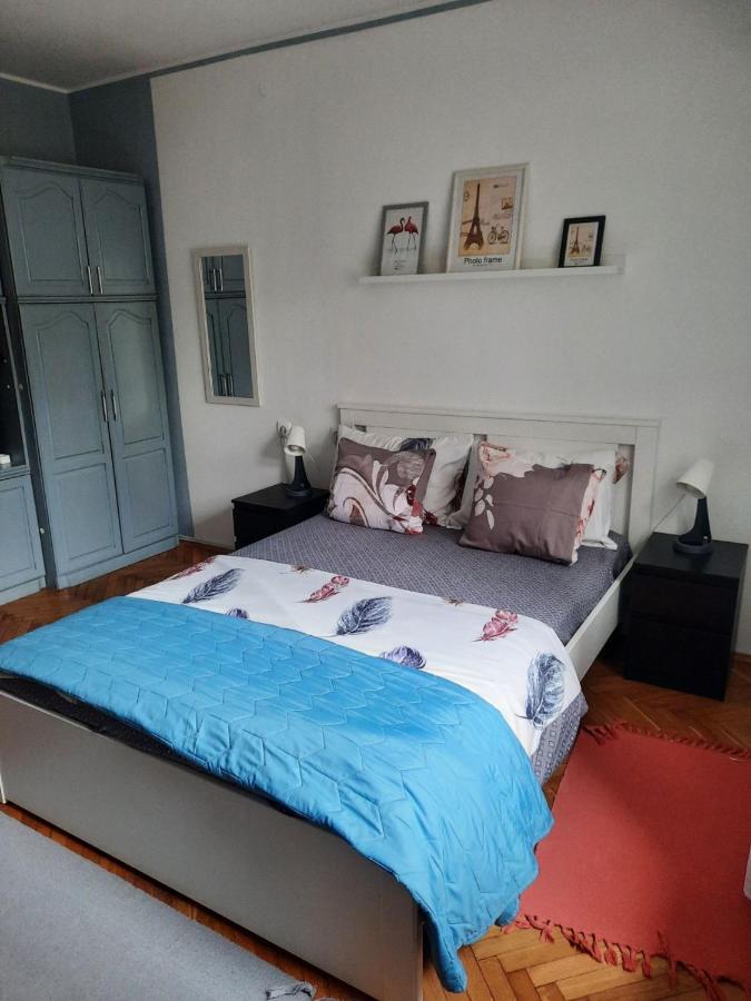 Apartmani Biljana Lazic Vrnjačka Banja Extérieur photo