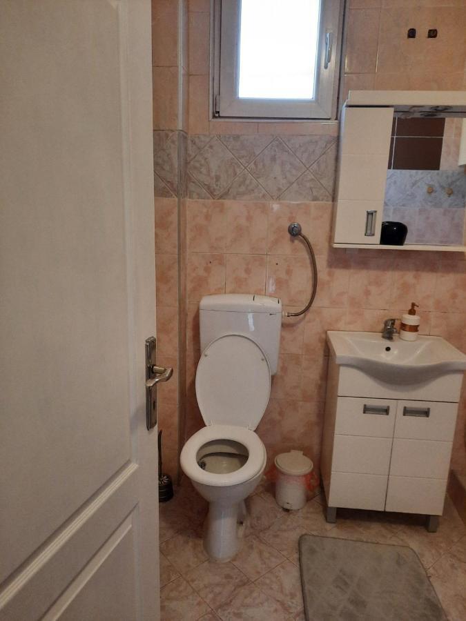 Apartmani Biljana Lazic Vrnjačka Banja Extérieur photo