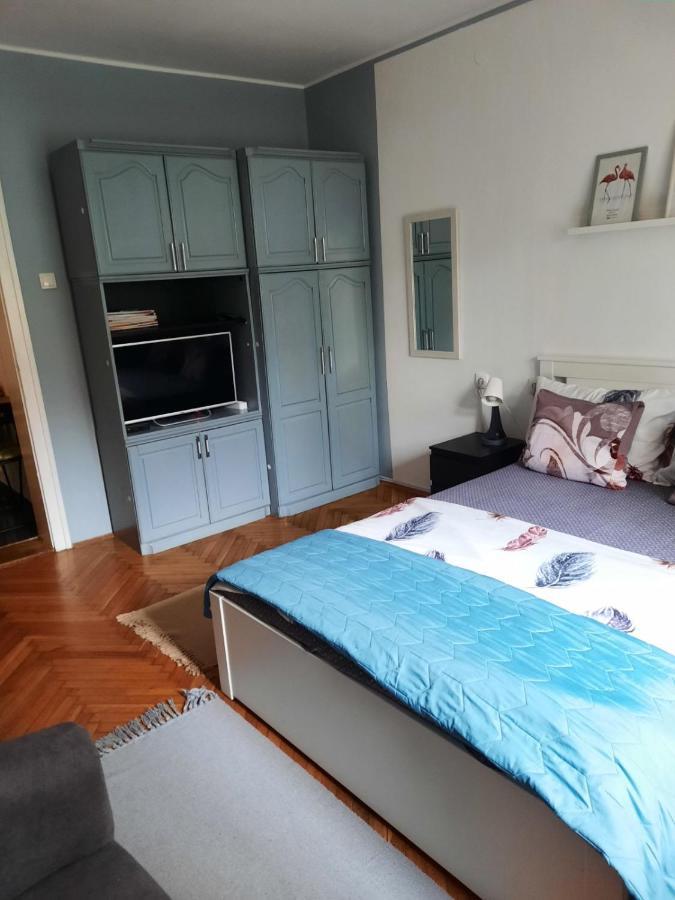 Apartmani Biljana Lazic Vrnjačka Banja Extérieur photo