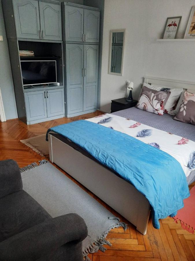 Apartmani Biljana Lazic Vrnjačka Banja Extérieur photo